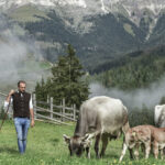 Select Green Hotels Karerhof