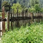 Select Green Hotels Tauber's Bio Vitalhotel garden
