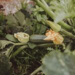 Select Green Hotels Mea Via - the Slow Farm Hotel