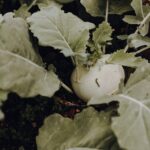 Select Green Hotels Mea Via - the Slow Farm Hotel