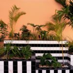 Select Green Hotels SALT of Palmar vegetation details