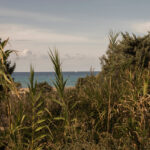 Select Green Hotels The Rooster Antiparos