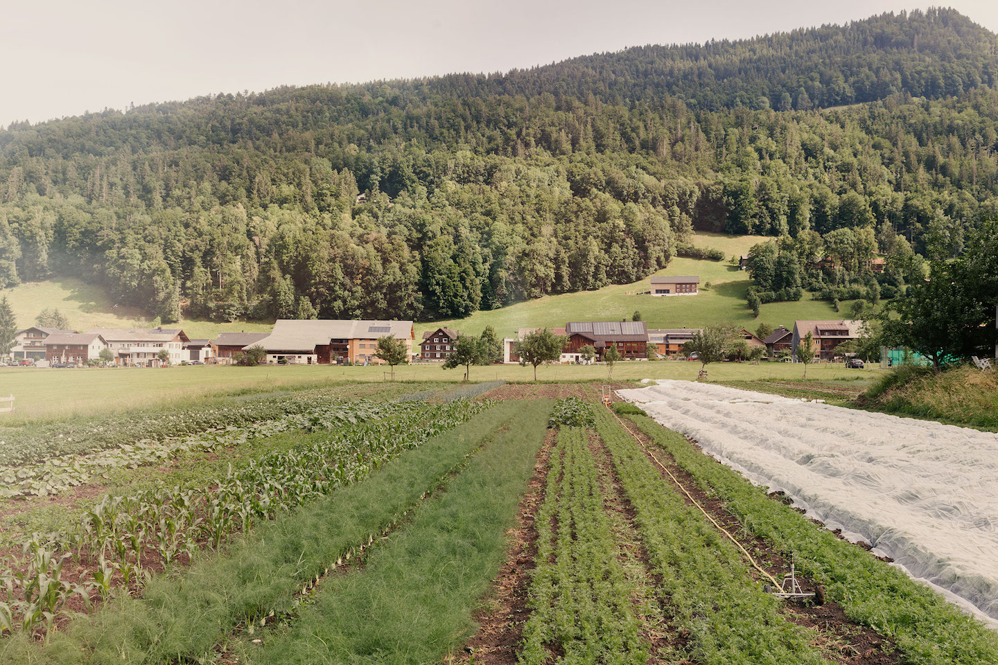 Select Green Hotels Hotel Post Bezau