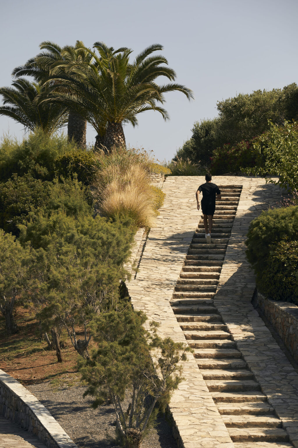 Minos Palace Resort